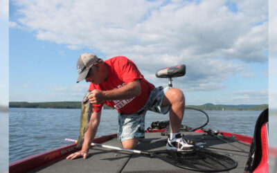 Finding Buckeyes in Vermont