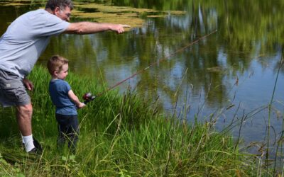 Bass in the seas, golf balls in the trees