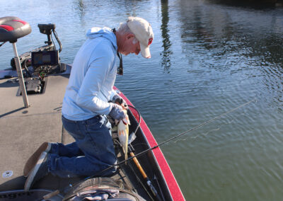 After carefully unhooking his latest catch, Rich Carter releases the bass alive. We landed over 200 bass in two days of fishing and all were released alive.