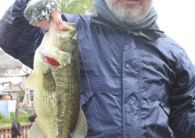 On my second trip to Lake St. Clair in May, my son-in-law Jeff Smith accompanied me for our annual trip. This is Jeff with a largemouth bass caught in the canal where our Tiny House lodging was located
